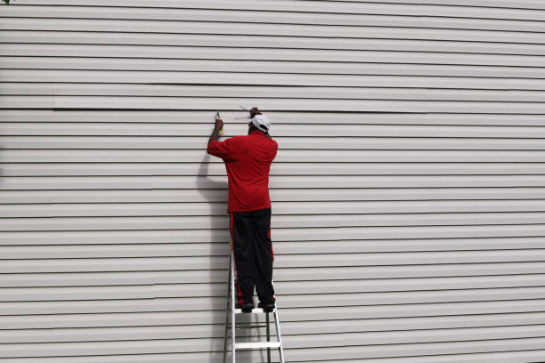 Professional Siding in Blountville, TN